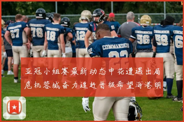 亚冠小组赛最新动态申花遭遇出局危机蓉城奋力追赶晋级希望海港明日迎战挑战