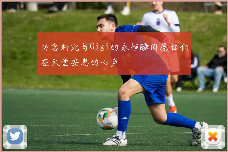 怀念科比与Gigi的永恒瞬间愿你们在天堂安息的心声